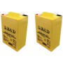 Multipack da 2 Batterie Ricaricabili 6 Volt 4 Ah Per Lampada D'emergenza Antifurto Allarme Giochi