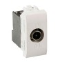Presa TV Maschio Derivata Light Bticino SN4202D Conettore