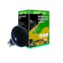 Haquoss Reptizoo Lampada 100W Notturna D80100 Per Terrario