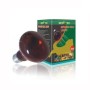 Haquoss Reptizoo Lampada 150W Infrarosso R95150 Per Terrario