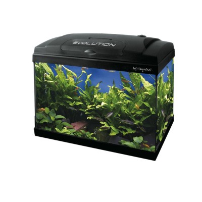 Haquoss Acquario Evolution 40 Nero 23 Litri Stardust LED