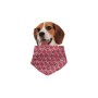 Fuss Dog Foulard Rosa con Zampine Taglia Small