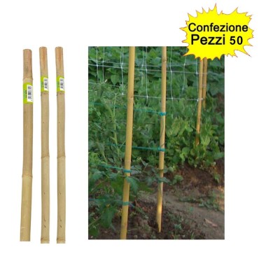 Tutori in Bamboo Pesante 50 pezzi 22-24 mm x Altezza 150 cm Pareti Divisorie Pali Pomodori