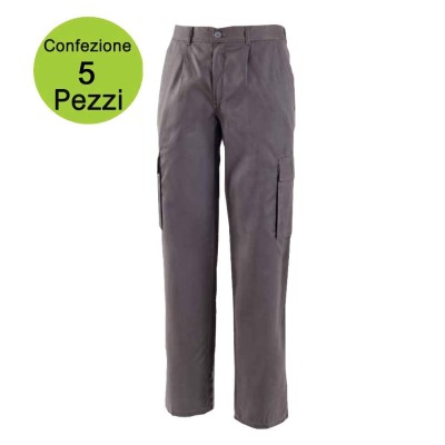 Multipack da 5 pz TG. L Pantaloni da Lavoro Work Professional Multitasche Grigio