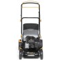 Tagliaerba Alpina BL 460 SB Motore a Benzina Briggs & Stratton 300 125 CC