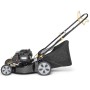 Tagliaerba Alpina BL 460 SB Motore a Benzina Briggs & Stratton 300 125 CC