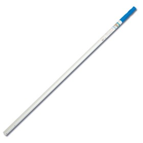 Manico Asta Telescopica Classica per Retini e Aspiratori Bestway