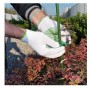 Guanti da Giardino Multiuso in Cotone Palmo Puntinato in PVC Misura M