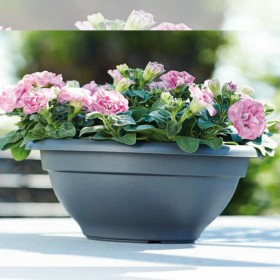 VASO CIOTOLA ELHO TORINO BOWL CM 50 ANTRACITE