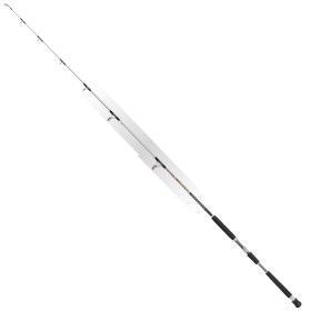 CANNA DA PESCA MASTER JIGGING MT 1,90 AZIONE KG 9 CARBONIO