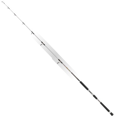 CANNA DA PESCA MASTER JIGGING MT 1,90 AZIONE KG 9 CARBONIO