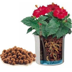 Argilla Espansa in Sacco per il rinvaso 7 Litri per giardino giardinaggio