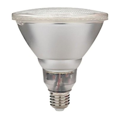 Lampada da Giardino PAR38 E27 20 Watt Resa 100 Watt Luce 4000K IP65