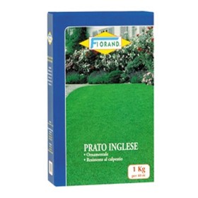 Orvital Florand Prato Inglese Ornamentale Resistente al Calpestio 1 kg