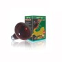 Haquoss Reptizoo Lampada 50W Infrarosso R63050 Per Terrario
