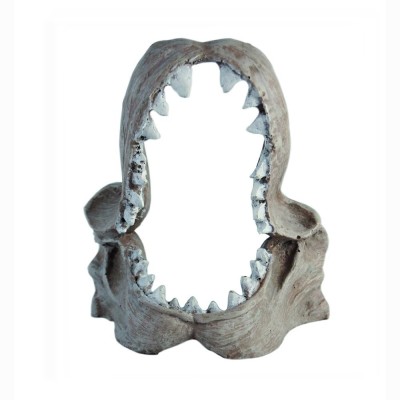 Haquoss Shark Skull Carcassa Squalo in Resina Decorazioni per Rettili