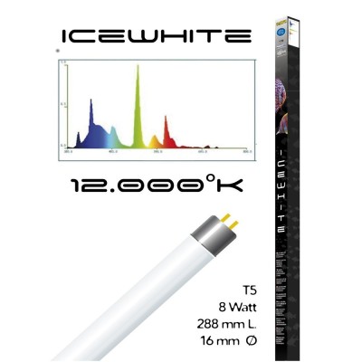 Haquoss Lampade Fluorescente per Acquario T5 Icewhite  8W da 29 cm
