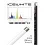 Haquoss Lampade Fluorescente per Acquario T5 Icewhite  8W da 29 cm