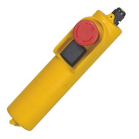 Interruttore Telecomando Ribimex Paranchi Elettrici Compatibile PE125/250C