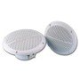 COPPIA ALTOPARLANTI STEREO PER INTERNO ESTERNO 100 WATT