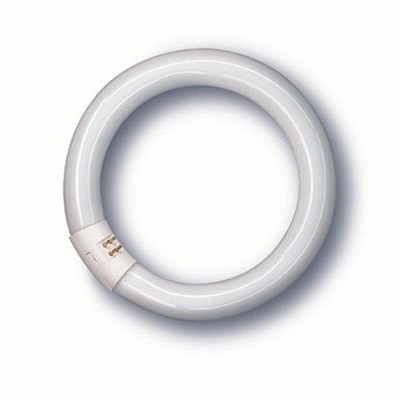 NEON CIRCOLARE LAMPADA FLUORESCENTE 22W/840 4000 G10Q