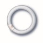 NEON CIRCOLARE LAMPADA FLUORESCENTE 22W/840 4000 G10Q