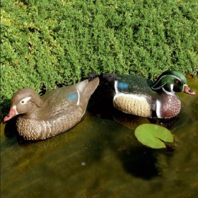 Decorazioni Animali ANATRA SPOSA 