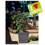 Ortovaso per Rampicanti con Riserva d'Acqua per Pomodori e Piante Rampicanti