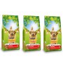 Multipack da 3 pz di Purina Friskies Per Cani Crocchette Vitafit Active con Manzo in 10 kg Cad