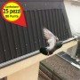 Dissuasori per volatili anti piccioni 80 punte Acciaio inox AISI 304 flessibile scatola da 25 pezzi