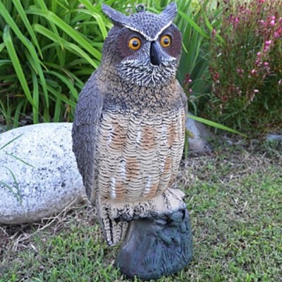 Decorazioni Animali GUFO AMERICANO 861