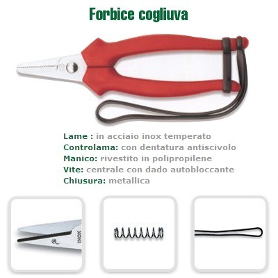 Forbici Vendemmia Grande