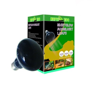 Haquoss Reptizoo Lampada 75W Notturna D63075 Per Terrario