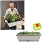 Fioriera Ortovaso Coltivazione di Erbe Aromatiche Ortaggi e Fiori Contenitore con Riserva d'Acqua