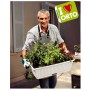 Fioriera Ortovaso Coltivazione di Erbe Aromatiche Ortaggi e Fiori Contenitore con Riserva d'Acqua