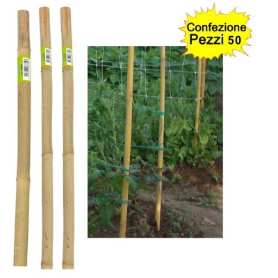Tutori in Bamboo Pesante 50 pezzi 22-24 mm x Altezza 240 cm Pareti Divisorie Pali Pomodori