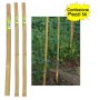 Tutori in Bamboo Pesante 50 pezzi 22-24 mm x Altezza 240 cm Pareti Divisorie Pali Pomodori