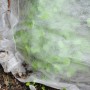Tessuto Non Tessuto Per Giardinaggio cm 160 x metri 10