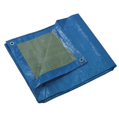 TELO DI PROTEZIONE 6X10 MT GR 65