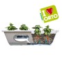 Fioriera Ortovaso Coltivazione di Erbe Aromatiche Ortaggi e Fiori Contenitore con Riserva d'Acqua