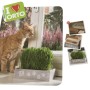 Kit Erba Gatta Catnip con Terriccio e Semi in cucina, sul davanzale o dove vuoi tu