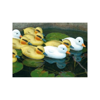 Decorazioni Animali ANATROCCOLI BIANCHI