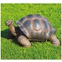 Decorazioni Animali TARTARUGA Testuggine Gigante 888
