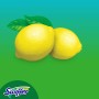 Swiffer Wet Panni Umidi Lavapavimenti per Scopa Al Limone 3 Confezioni da 24 Panni