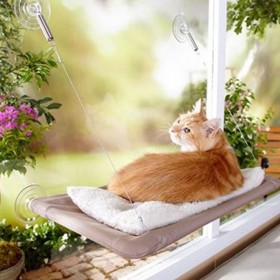 Lettino Lavabile per Gatti a Muro con Ventose 50 x 25 cm