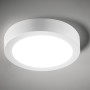 Lampada Plafoniera da Interno con Luce Led 4500 K Diametro cm 30