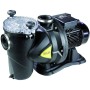 Elettropompa Per Piscina DAB Eurepro 100 M Pompa per Piscine