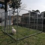 Recinto solo Perimetro in Rete Modulare per Cani da 3x3 Metri Zincatura Elettrolitica
