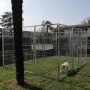 Recinto solo Perimetro in Rete Modulare per Cani da 3x3 Metri Zincatura Elettrolitica