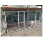 2 Box per Cani in Linea con Copertura Ciascuno da 3x2 Metri con Zincatura a Caldo